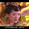 word软件免费下载电脑版安卓